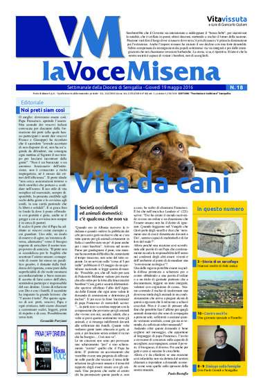 voce misena 18 - 2016